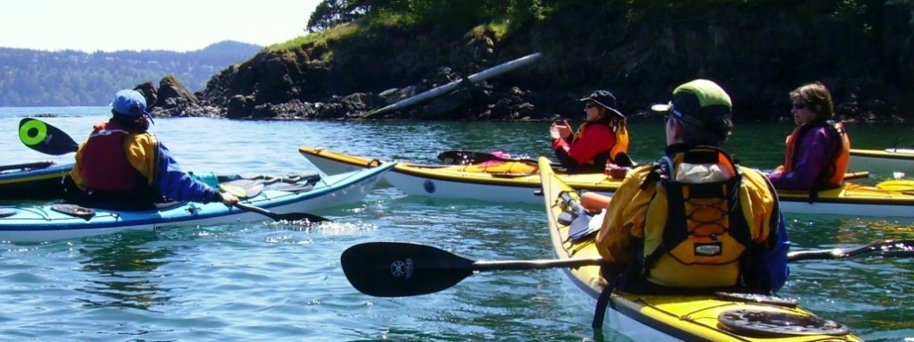 Sea Kayak Lessons in WildCat Cove