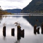 Lake Whatcom - Lumber Pilings